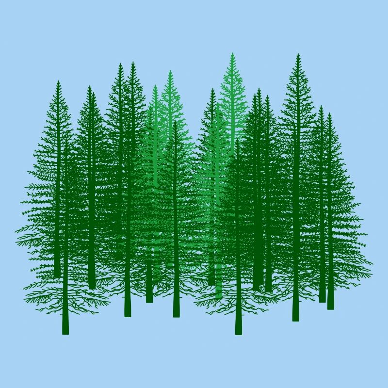 vert, forêt, forêts, forestier, chasseur, sapin, sapin, forêts
