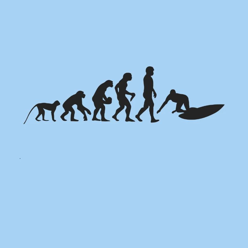 Surfen Evolution