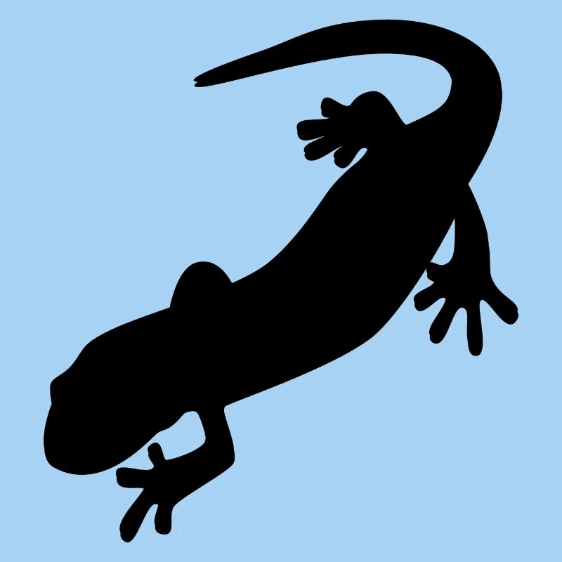 Salamander