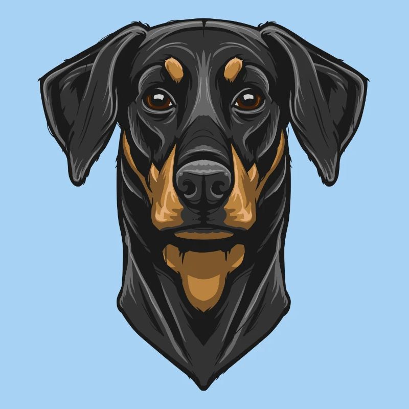 Dobermann