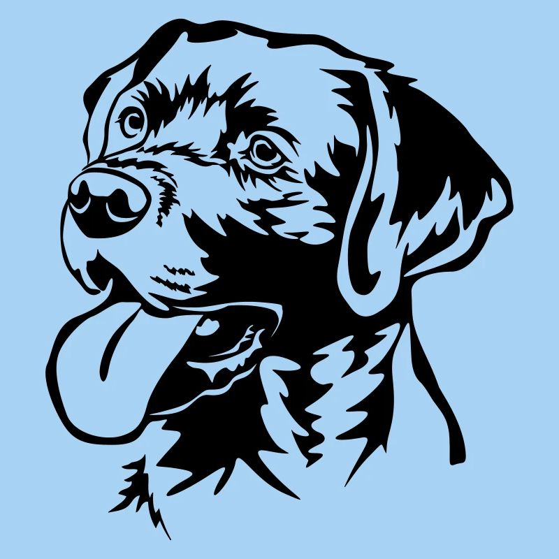 Labrador Retriever Kopf
