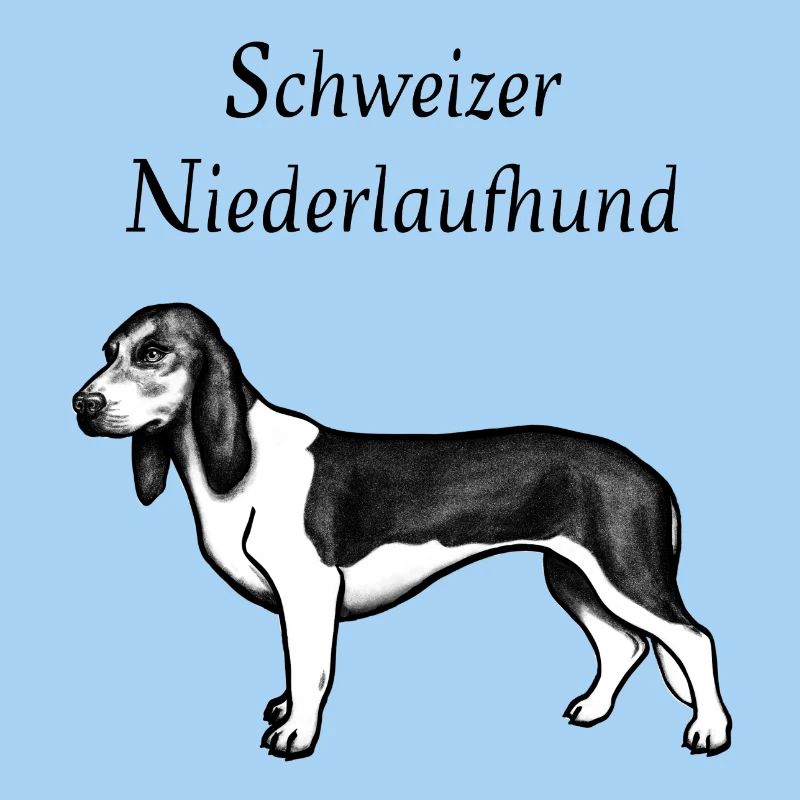 Schweizer Niederlaufhund