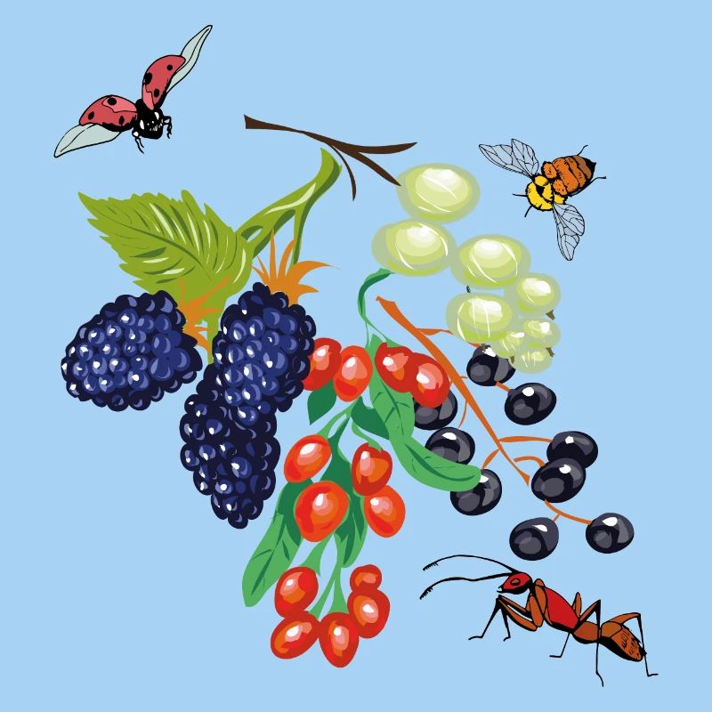 Fruit with insects