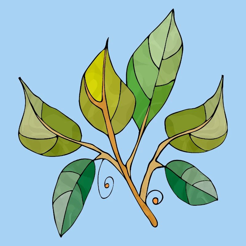 feuilles