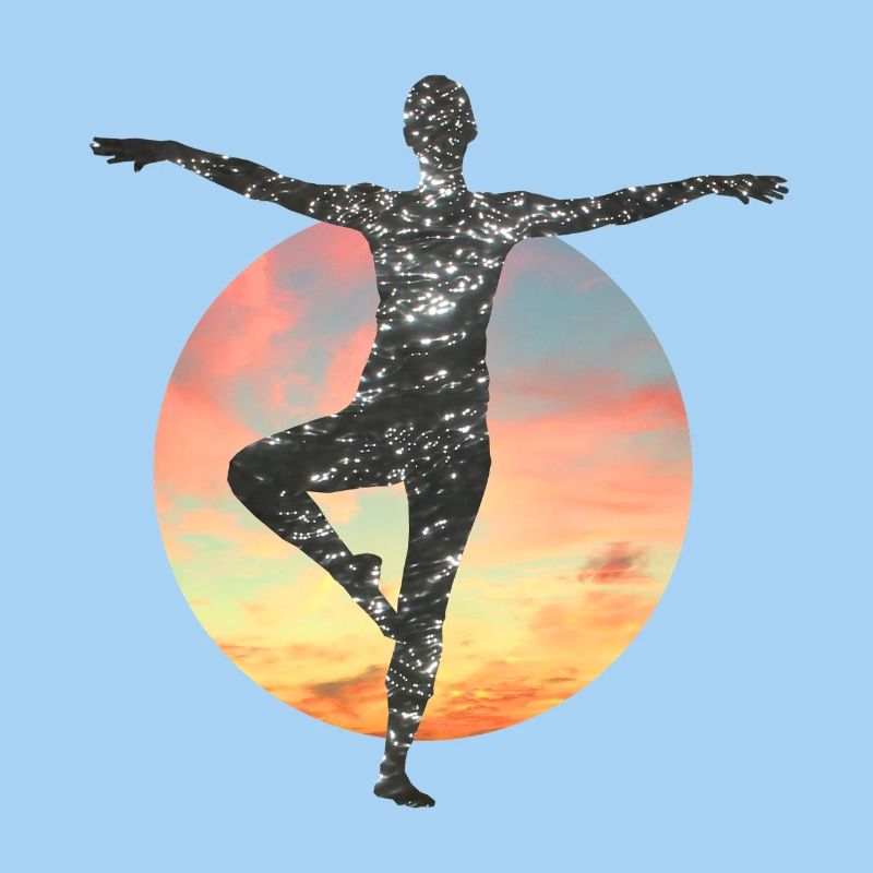 Silhouette galactique dans le cercle du soleil