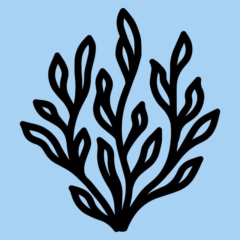 alga