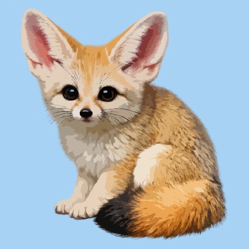 Fennec desert fox