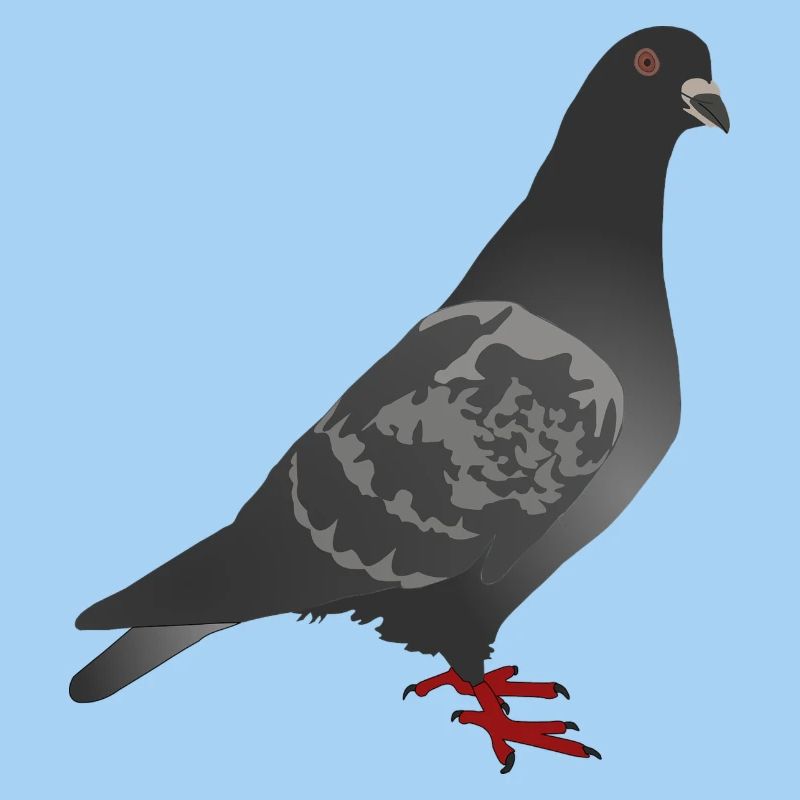 dove