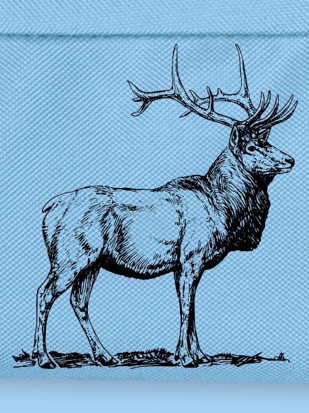Hirsch