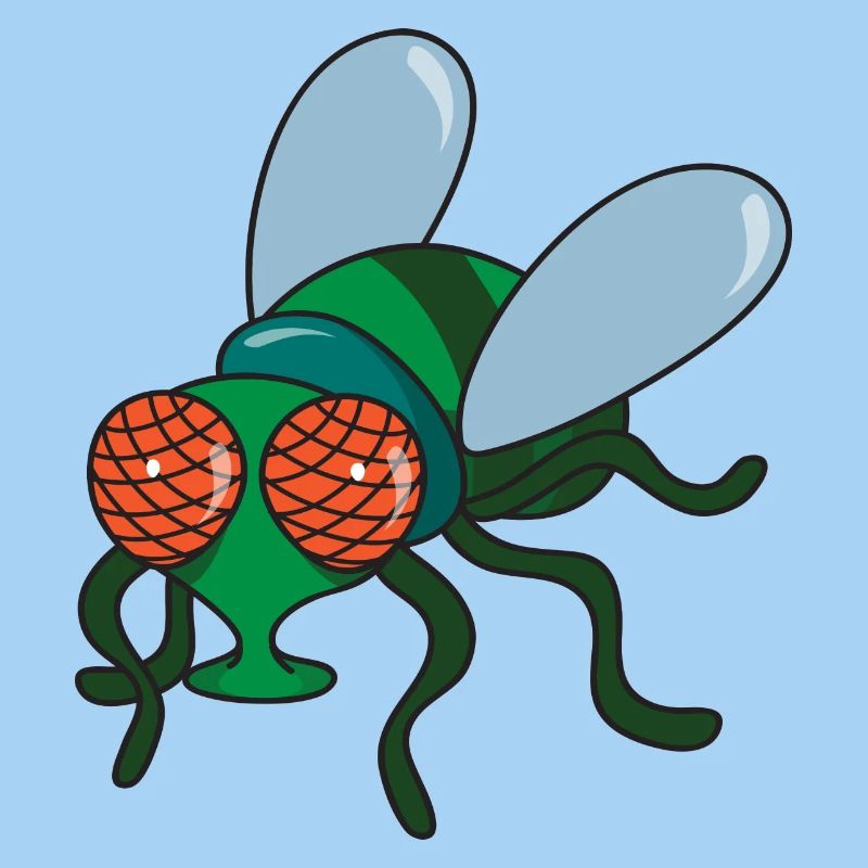fly