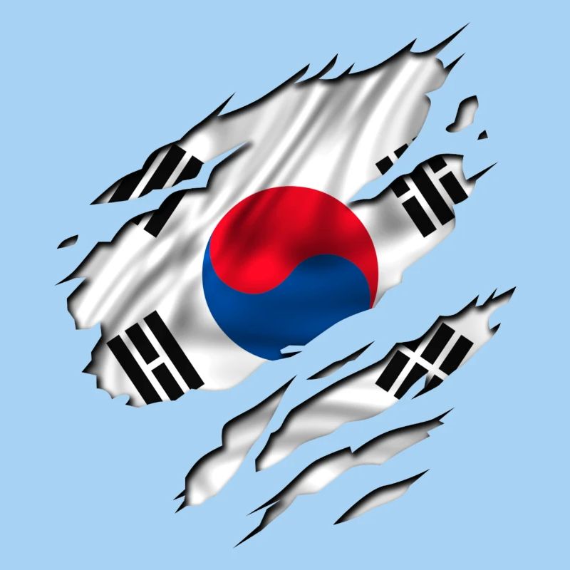 corée korea south sud
