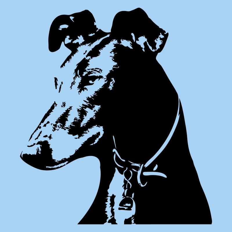 Galgo head
