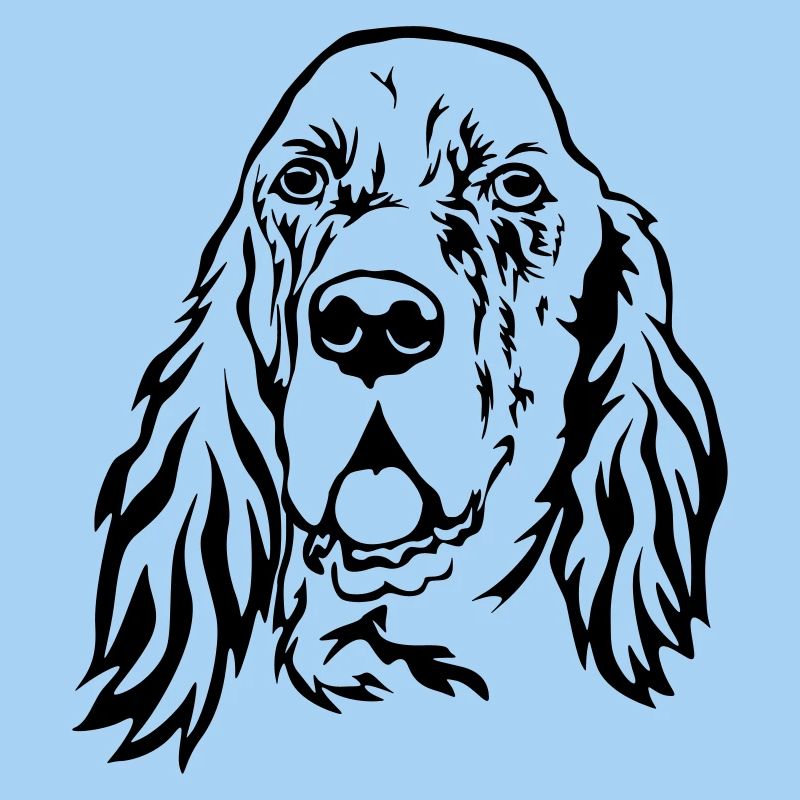English setter head