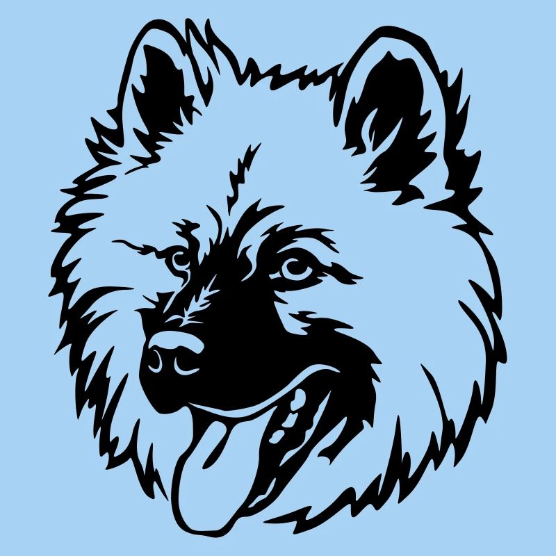 Eurasier Kopf