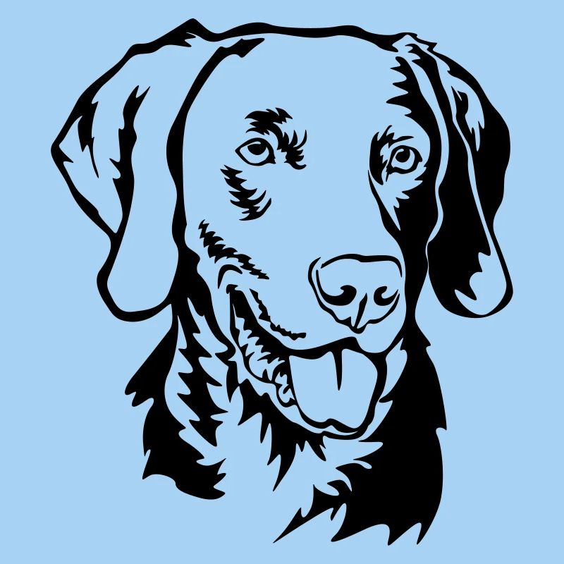 Weimaraner Kopf