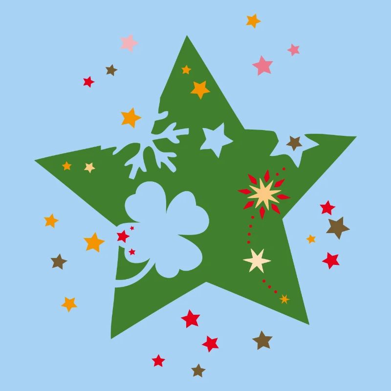 Weihnachtsstern