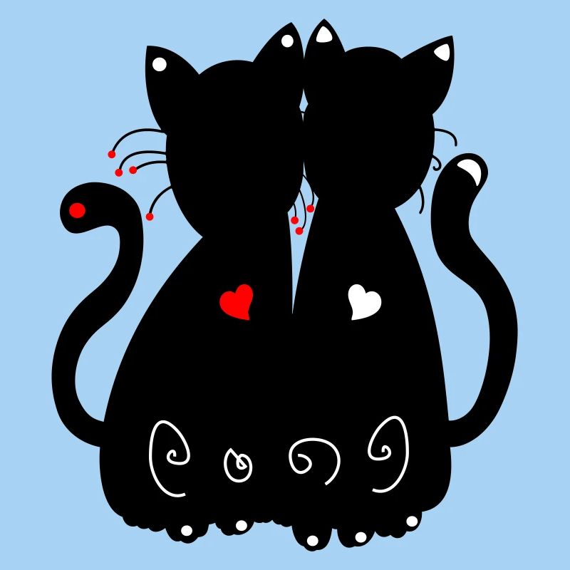 schwarze Katzen