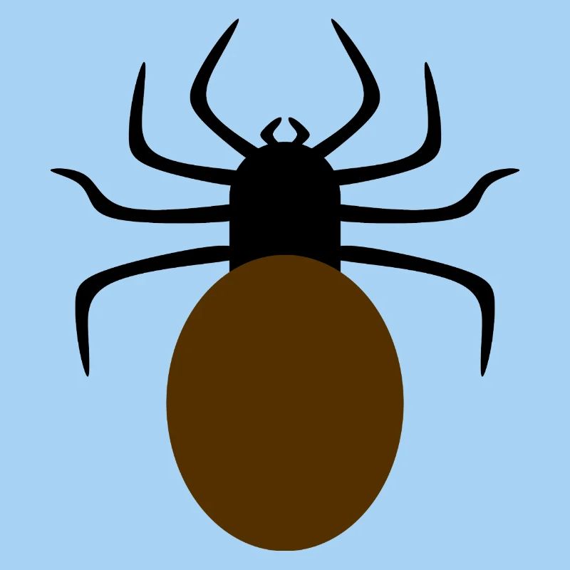 Minimalist Spider Design