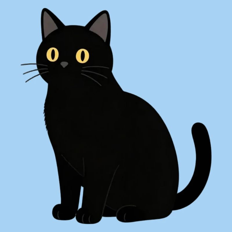 Chat noir chat noir