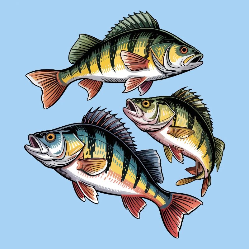 Perch Motif