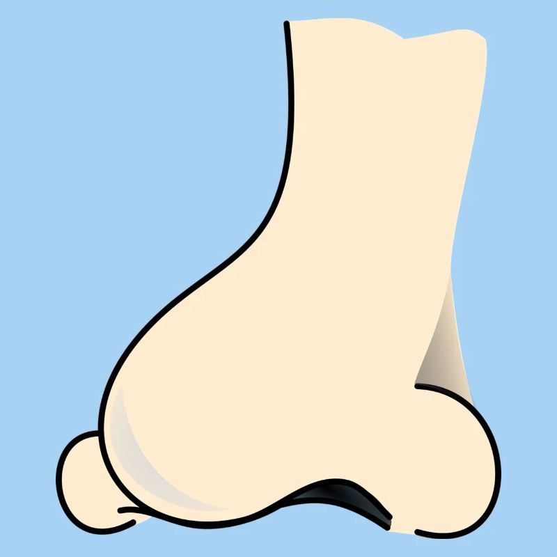 nez