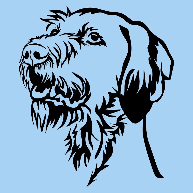Magyar Vizsla head