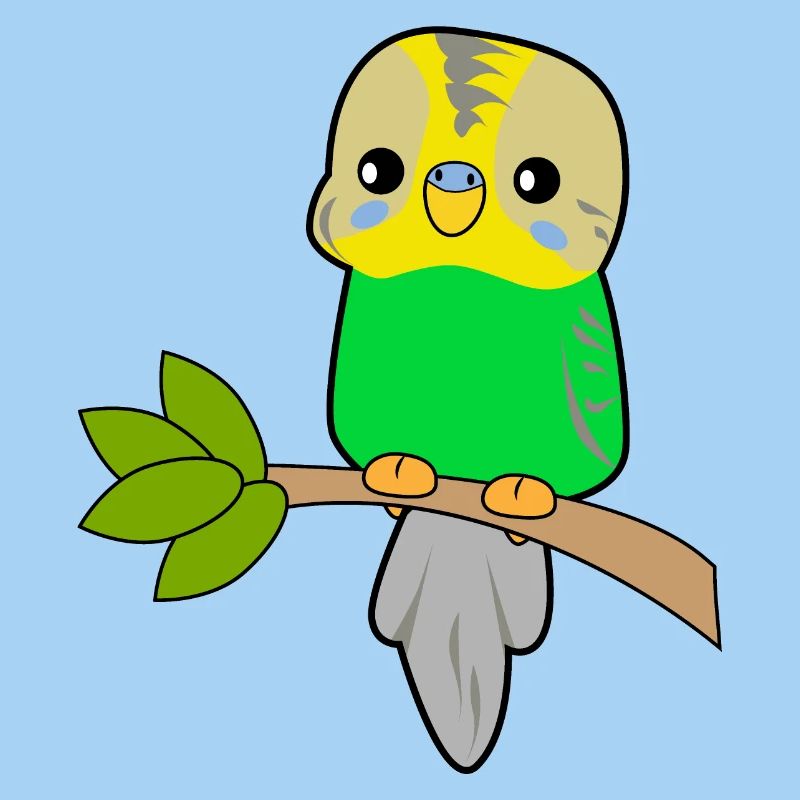 Budgerigar Parrot