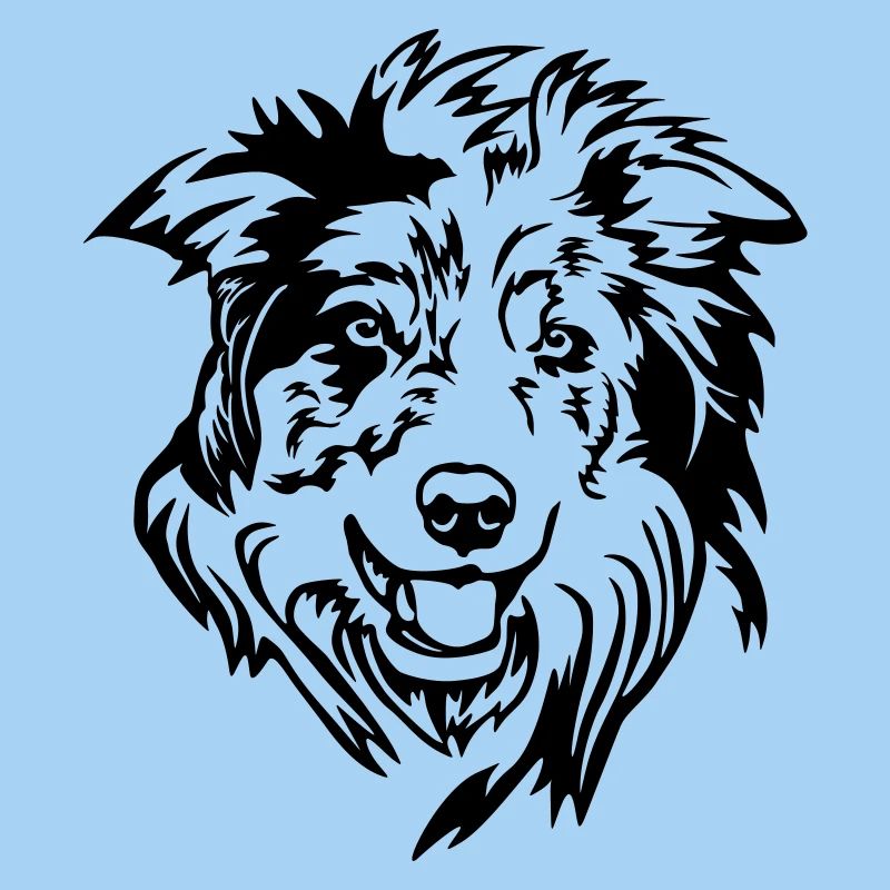 Border Collie Head