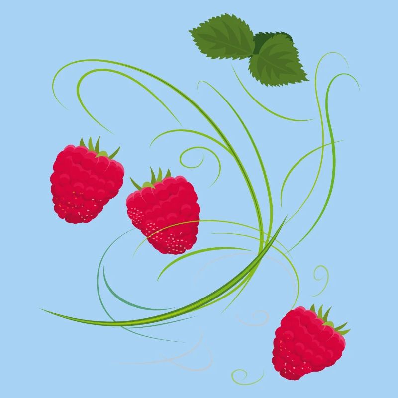 Raspberry, Fruit