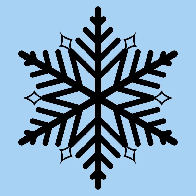 Flocon de neige flocon de neige