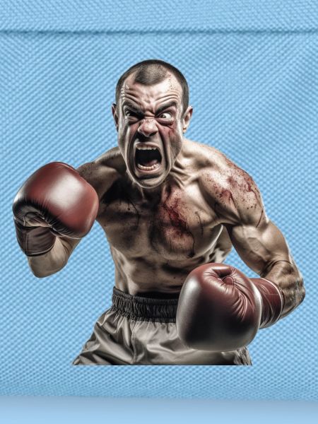 Boxer