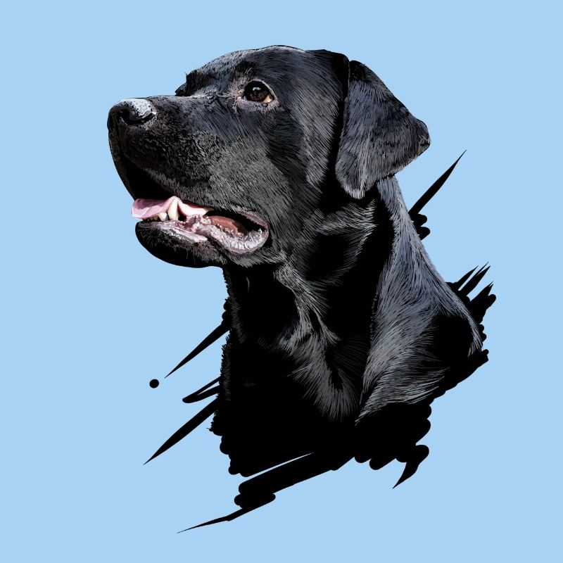 Labrador