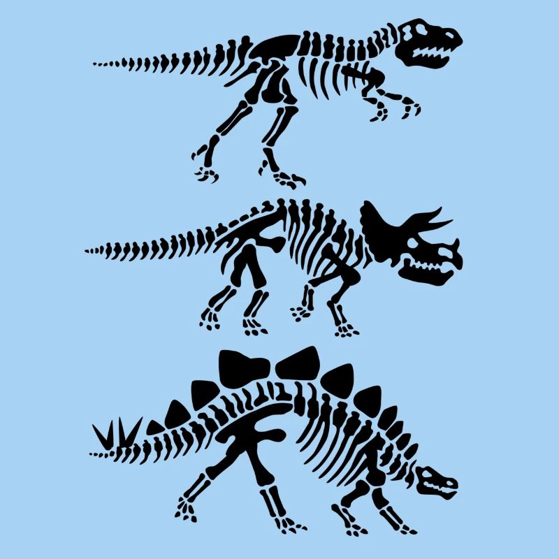 Dinosaur skeleton anatomy
