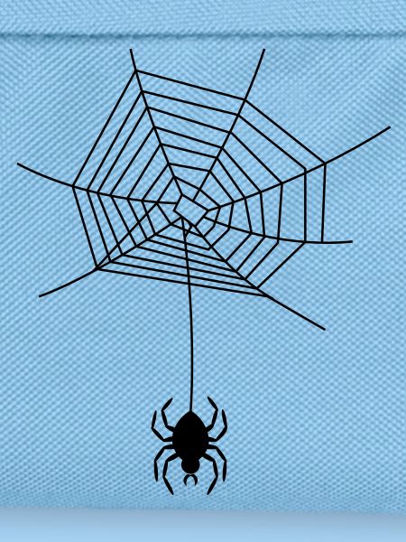 spinnennetz