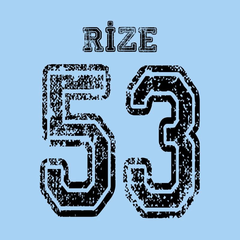 53 Rize Turkish license plate as a gift