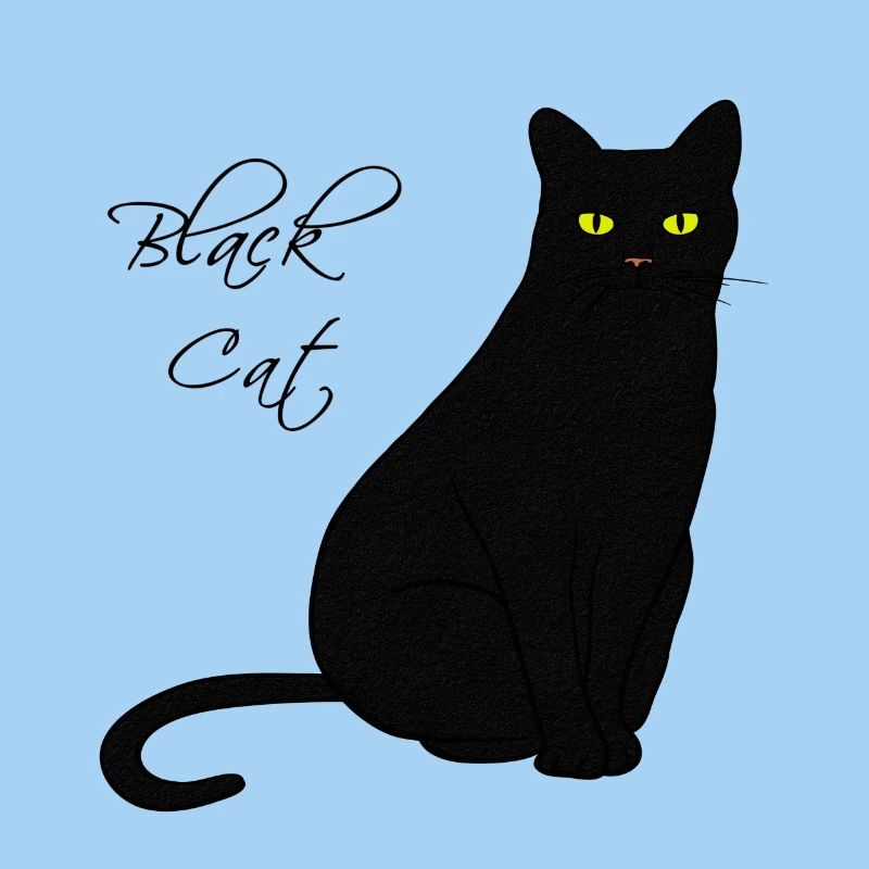 Black Cat