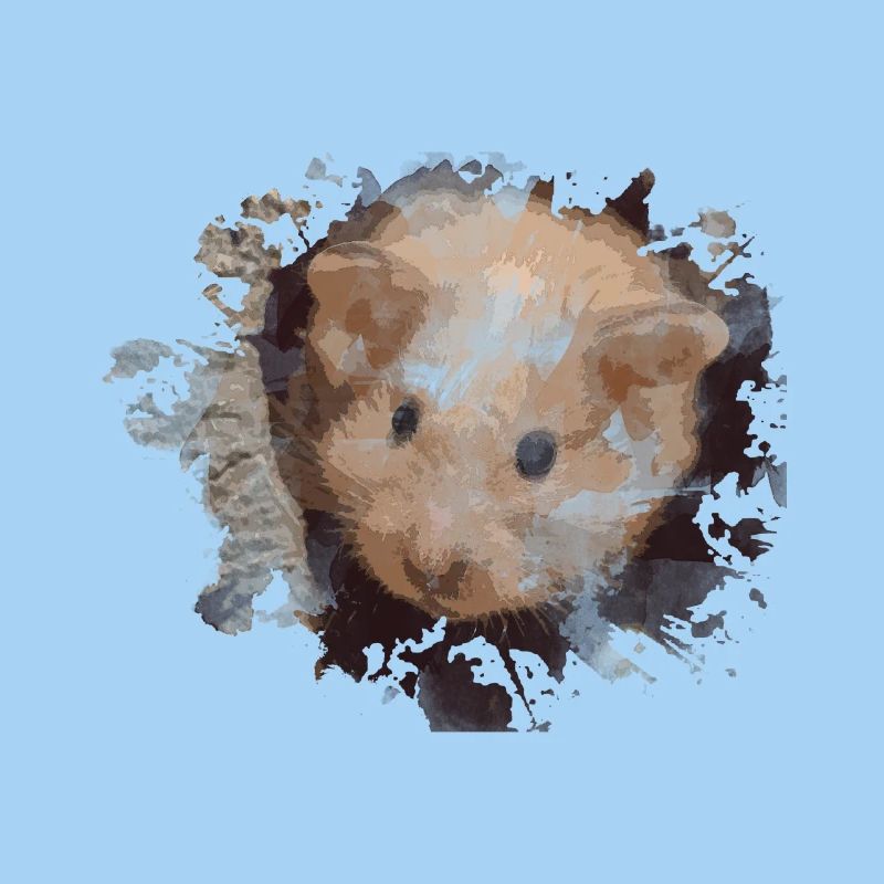 hamster