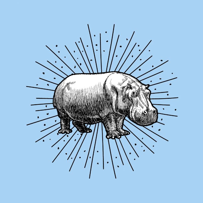 hippo