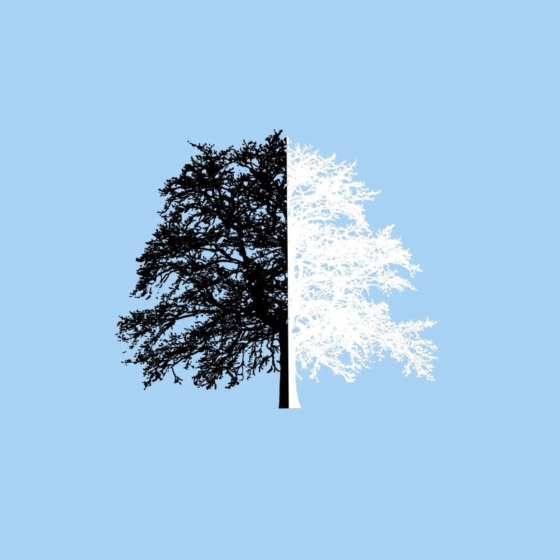 Tree Tree Black White Illusion