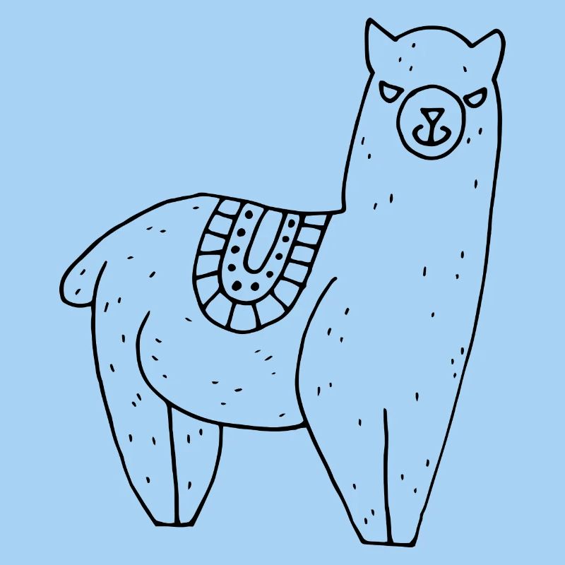 Alpaca with blanket