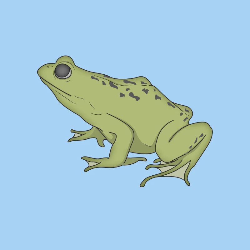 Frosch