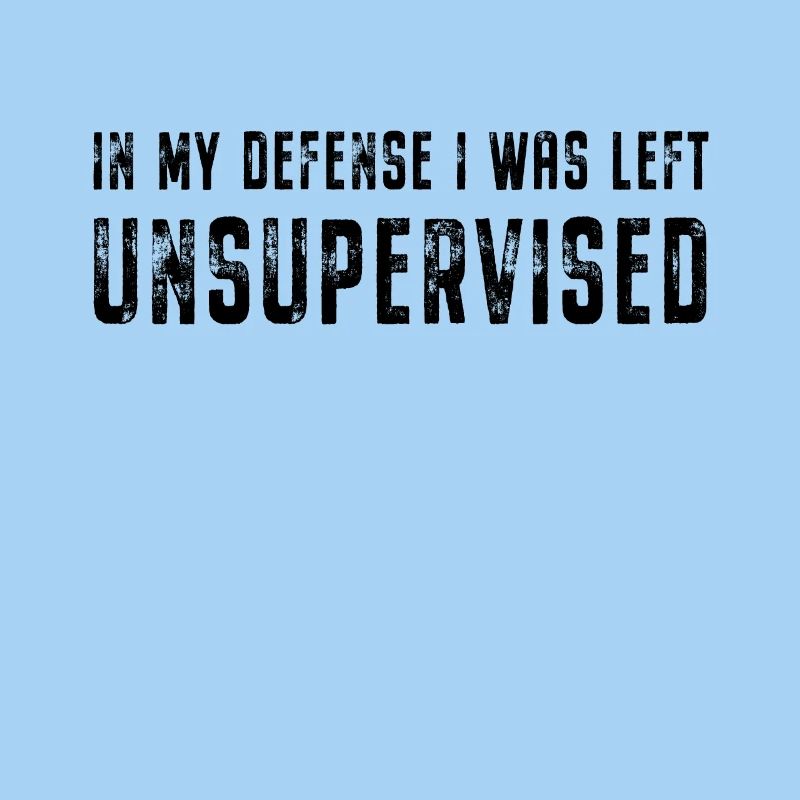Dans My Defense I Was Left Unsupervised Spruch