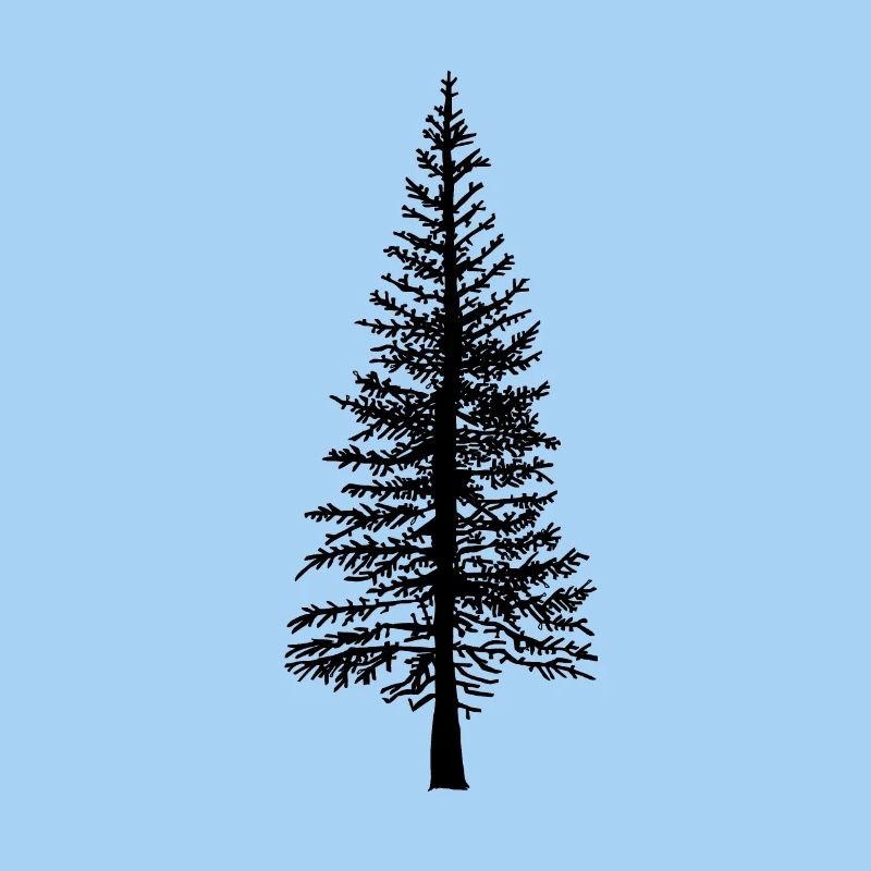 Fir tree Forest Nature Ecology Environment Trees Flora