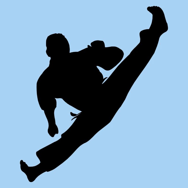 Jumpkick Geri Kick Karate oder Teakwondo