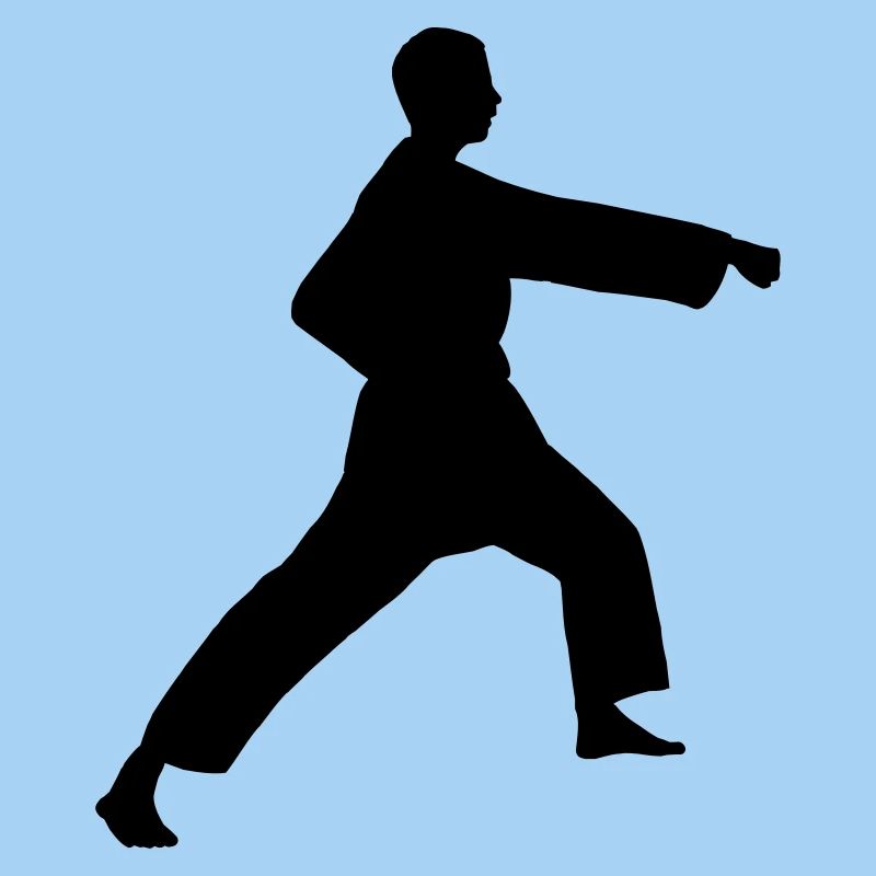 Punch karate or teakwondo punch
