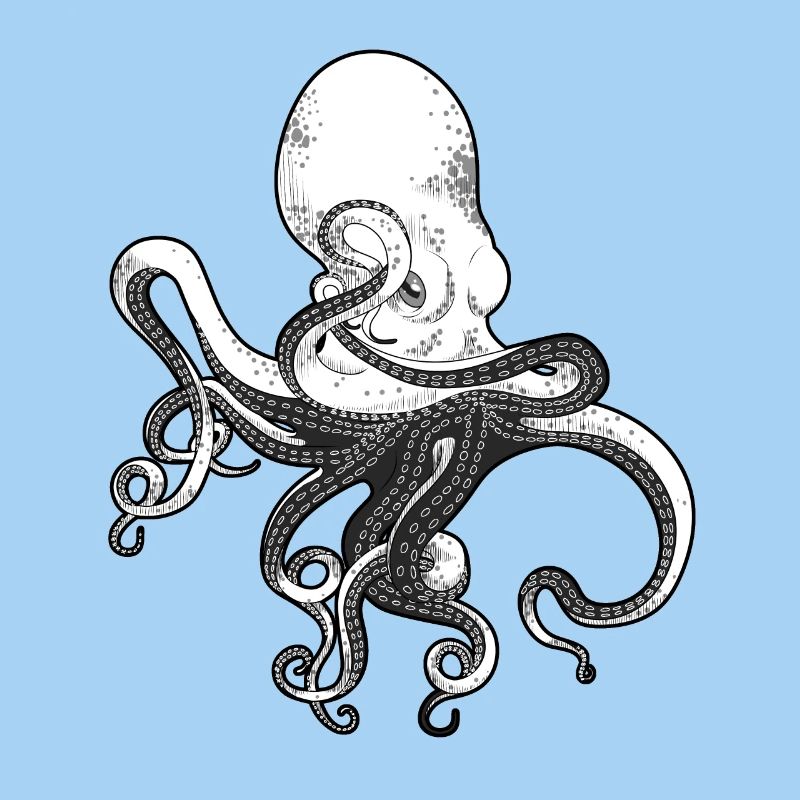 octopus, octopus, squid, seafood, calamari