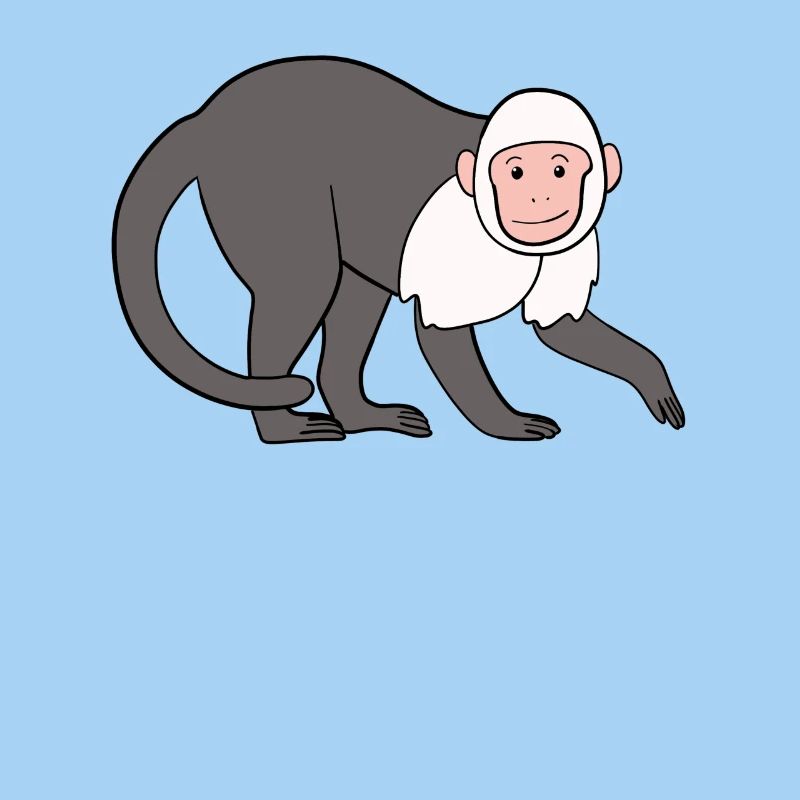 Singe capucin Singe