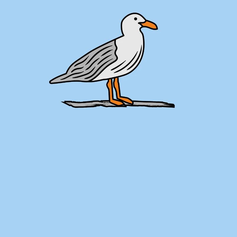Möwe auf Stein