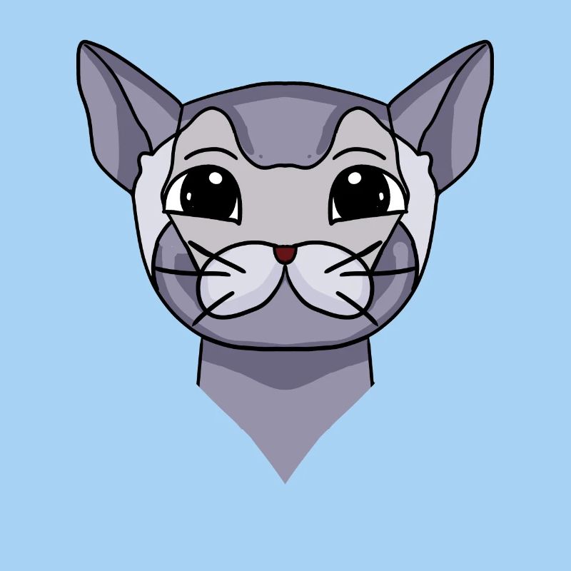Britisch Kurzhaar Kopf Katze Katzenbesitzer