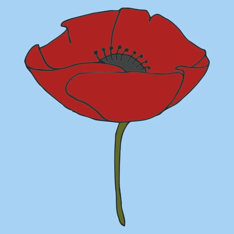 mohnblume